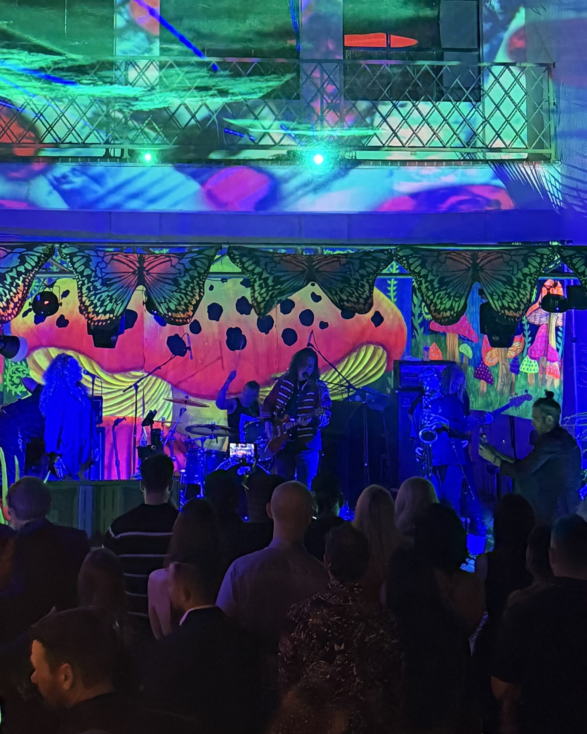 Guitarist performing live outside a colorful mushroom-themed mansion