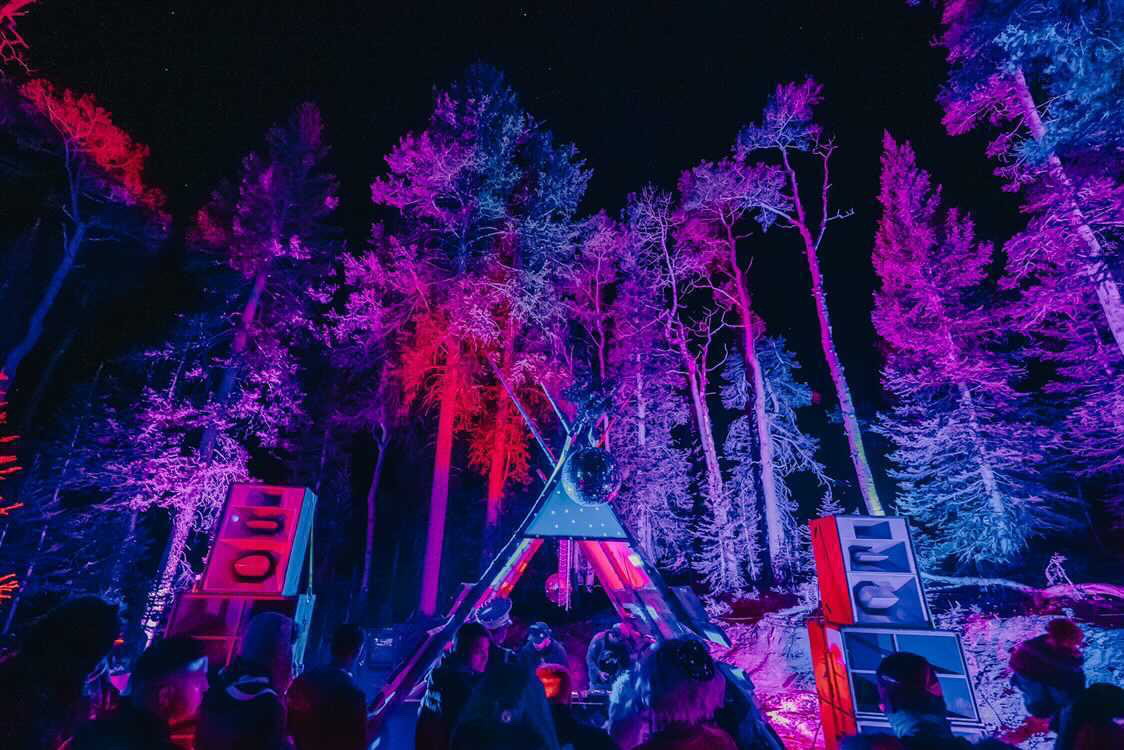 outdoor event lighting setup with colorful stage lighting and illuminated trees