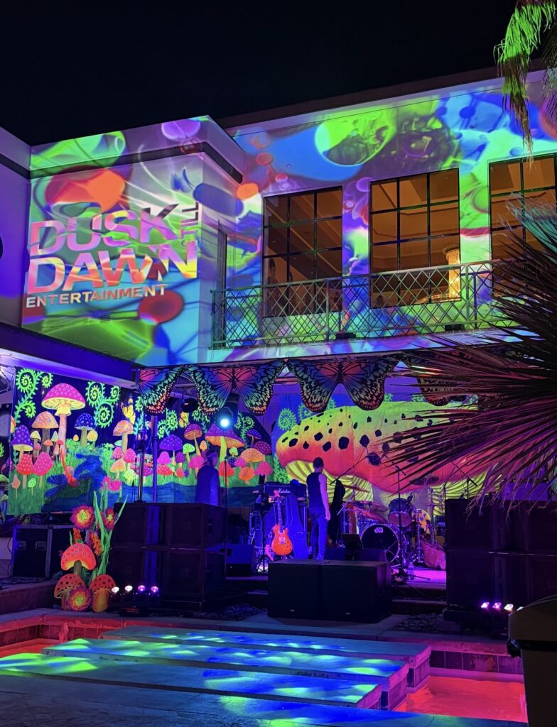 Projection mapping on luxury mansion for private event with immersive lighting and professional sound production
