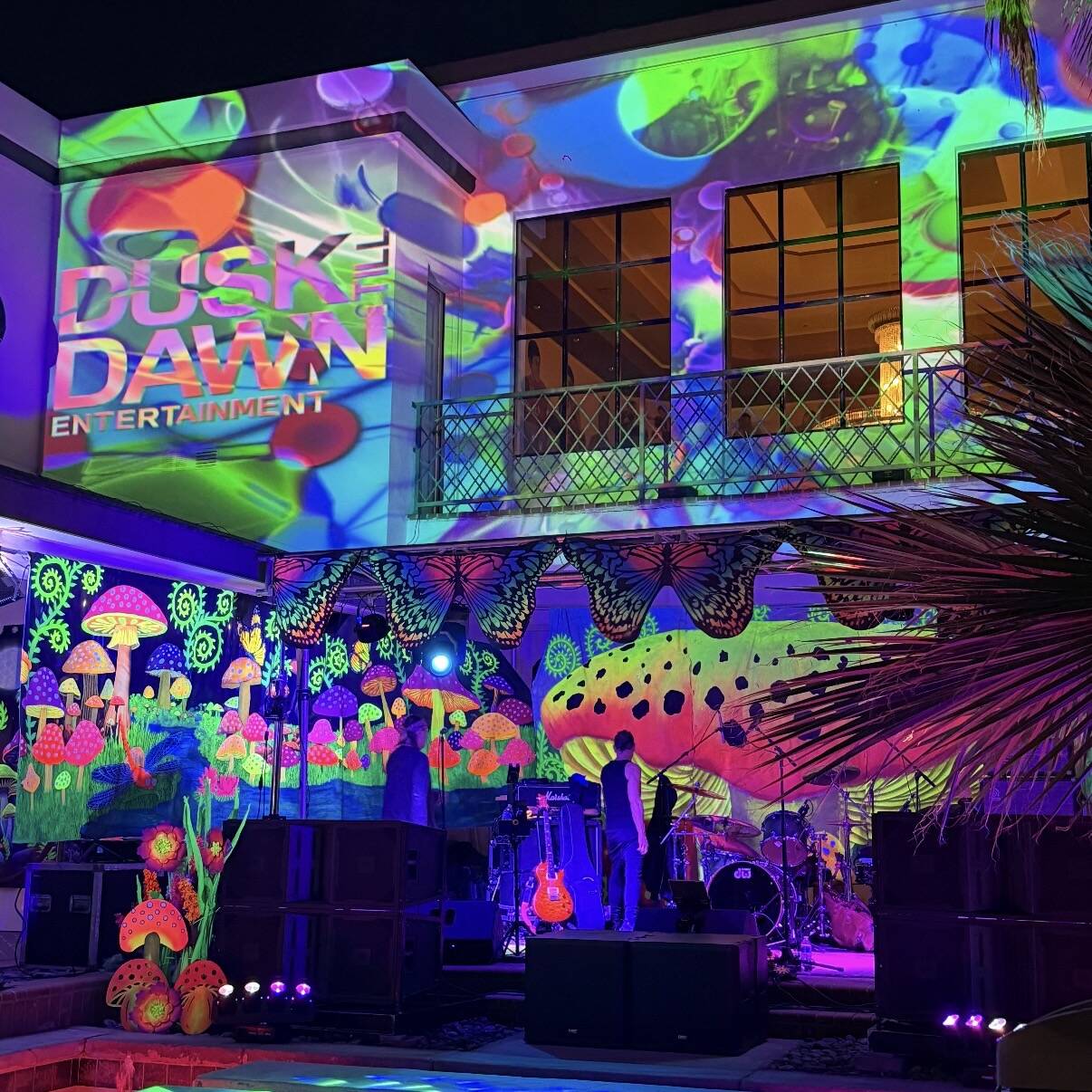 Projection mapping on luxury mansion for private event with immersive lighting and professional sound production