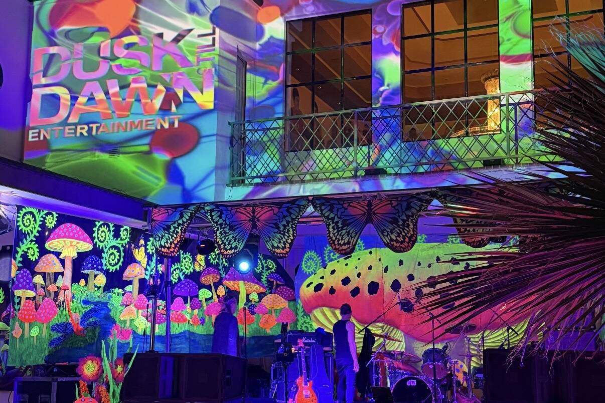 Projection mapping on luxury mansion for private event with immersive lighting and professional sound production
